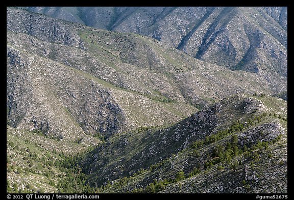 Ridges from fossil Reef. Guadalupe Mountains National Park (color)