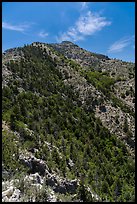 Guadalupe Peak and forested slopes. Guadalupe Mountains National Park, Texas, USA. (color)