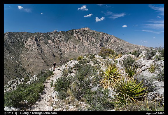 Hiker on trail above Pine Spring Canyon. Guadalupe Mountains National Park (color)