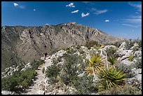 Hiker on trail above Pine Spring Canyon. Guadalupe Mountains National Park, Texas, USA.