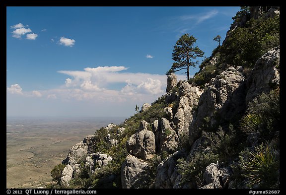 Slopes with trees and rocks high above plain. Guadalupe Mountains National Park (color)