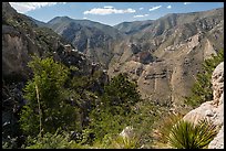 Pine Spring Canyon from above. Guadalupe Mountains National Park ( color)