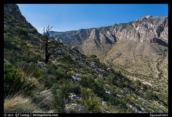 Slopes with shrubs and Hunter Peak. Guadalupe Mountains National Park (color)