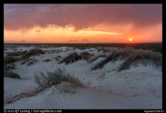 Storm light and virga streaks across the sky as the sun sets beyond pale gypsum dunes. Guadalupe Mountains National Park (color)
