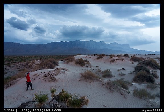 Visitor looking, Salt Basin Dunes beneath a dark, building storm. Guadalupe Mountains National Park (color)