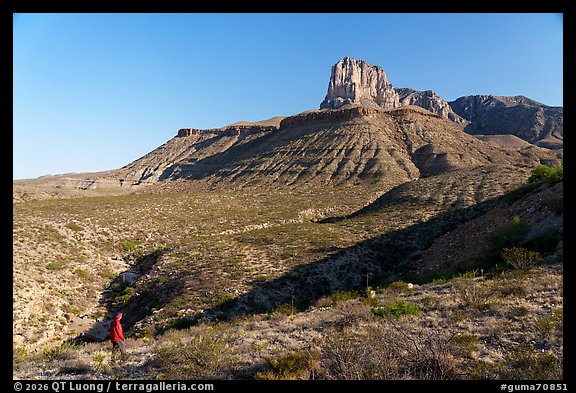 Visitor looking, dry wash below the massive limestone face of El Capitan. Guadalupe Mountains National Park (color)