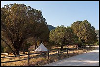 Dog Canyon Campground. Guadalupe Mountains National Park ( color)