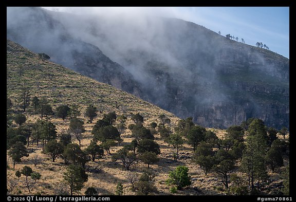 Fog drifting through rugged cliffs, Dog Canyon. Guadalupe Mountains National Park (color)