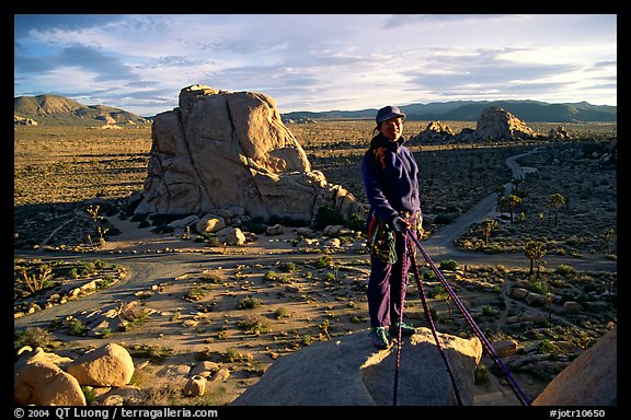 Climber getting ready to rappel down. Joshua Tree National Park, California, USA.