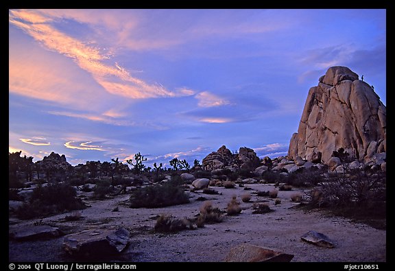 Landscape with climbers at sunset. Joshua Tree National Park (color)