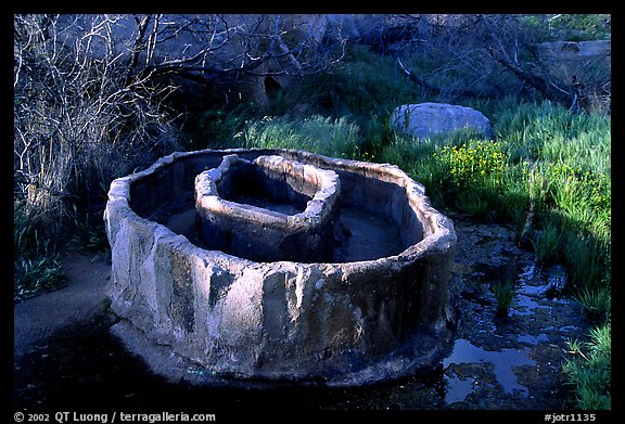 Water reservoir near Barker Dam. Joshua Tree National Park (color)