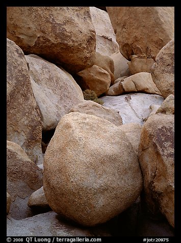 Boulders close-up, Hidden Valley. Joshua Tree  National Park (color)