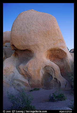 Skull rock at dusk. Joshua Tree National Park, California, USA.