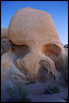 Skull rock at dusk. Joshua Tree National Park, California, USA.