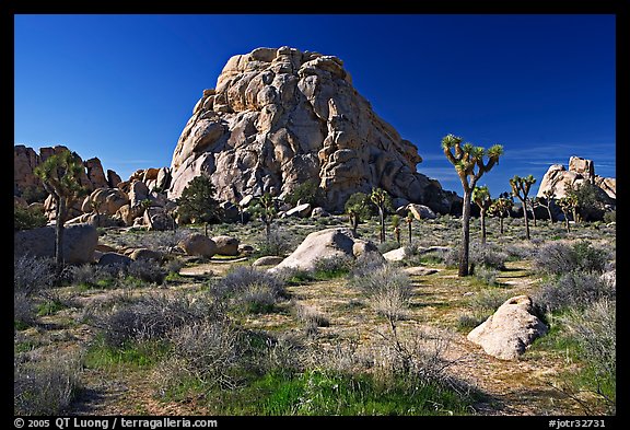 Tall rockpile. Joshua Tree National Park, California, USA.