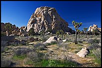 Tall rockpile. Joshua Tree National Park ( color)