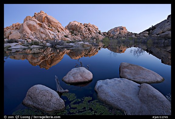 Boulders reflected in water, Barker Dam, dawn. Joshua Tree National Park, California, USA.