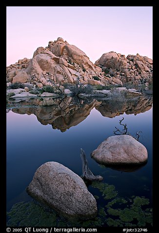 Rockpiles and reflections, Barker Dam, dawn. Joshua Tree National Park (color)