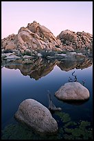 Rockpiles and reflections, Barker Dam, dawn. Joshua Tree National Park, California, USA.