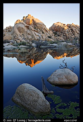 Rockpile and refections, Barker Dam, sunrise. Joshua Tree National Park (color)