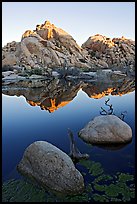 Rockpile and refections, Barker Dam, sunrise. Joshua Tree National Park ( color)