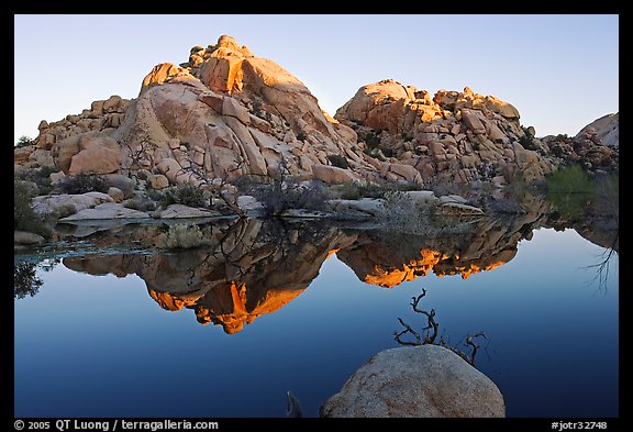 Rocks reflected in reservoir, Barker Dam, sunrise. Joshua Tree National Park, California, USA.