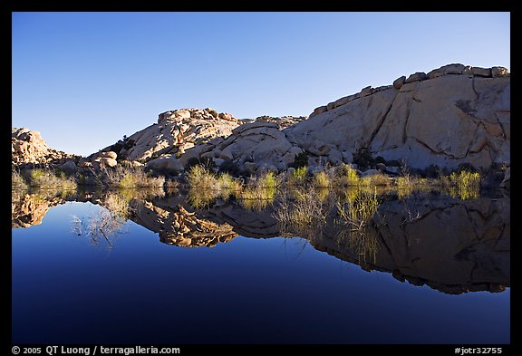 Rocks, willows, and Reflections, Barker Dam, morning. Joshua Tree National Park (color)