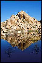 Rock formations reflected in Barker Dam Pond, morning. Joshua Tree National Park, California, USA.