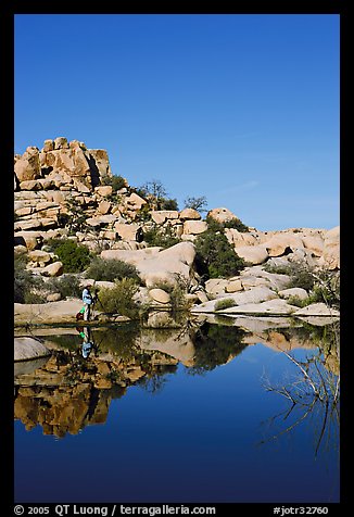 Photographer at Barker Dam. Joshua Tree National Park, California, USA.