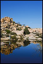 Photographer at Barker Dam. Joshua Tree National Park, California, USA.