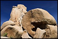 Rocks with climbers in a distance. Joshua Tree National Park, California, USA. (color)