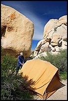 Camper and tent, Hidden Valley Campground. Joshua Tree National Park, California, USA.