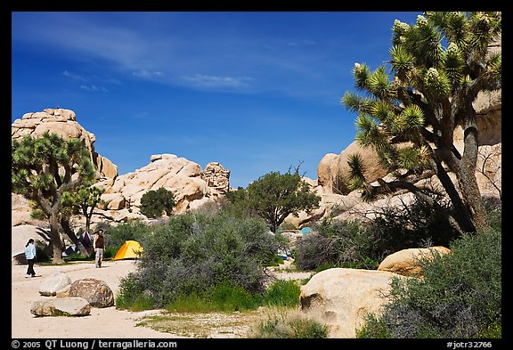 Campers, Hidden Valley Campground. Joshua Tree National Park, California, USA.