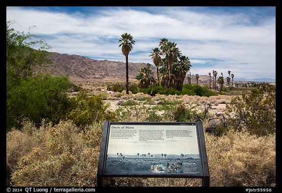 Interpretive sign, Oasis de Mara. Joshua Tree National Park, California, USA.