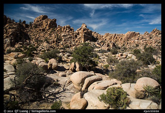 Hidden Valley. Joshua Tree National Park (color)