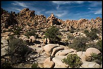 Hidden Valley. Joshua Tree National Park ( color)