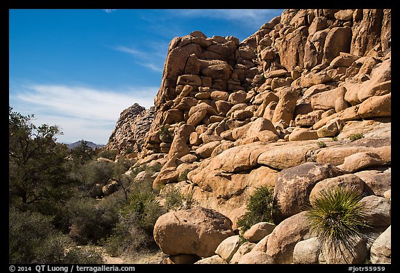 Towering rock formations around Hidden Valley. Joshua Tree National Park (color)