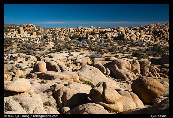 Landscape of rocks, White Tank. Joshua Tree National Park (color)