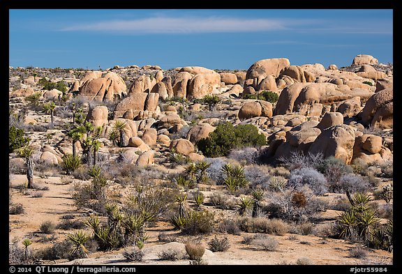 Boulders around White Tank. Joshua Tree National Park (color)