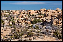 Boulders around White Tank. Joshua Tree National Park ( color)