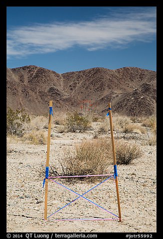 Signage and Pinto Mountains. Joshua Tree National Park (color)