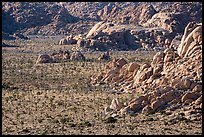 Boulders outcrops and Joshua Trees from above. Joshua Tree National Park ( color)