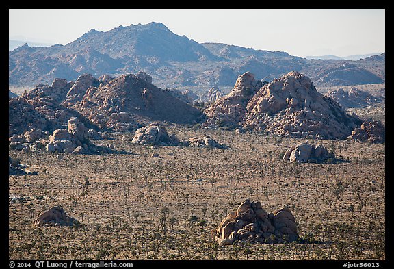 Joshua trees and wonderland of rocks. Joshua Tree National Park (color)