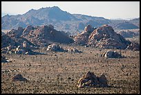 Joshua trees and wonderland of rocks. Joshua Tree National Park ( color)