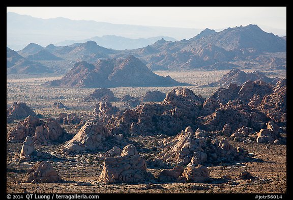 Wonderland of rocks. Joshua Tree National Park (color)