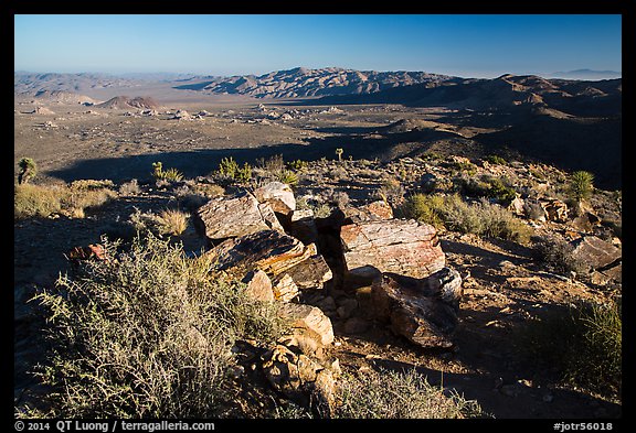 Pleasant Valley from Ryan Mountain. Joshua Tree National Park (color)