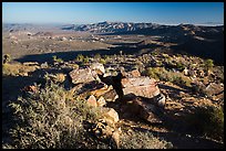 Pleasant Valley from Ryan Mountain. Joshua Tree National Park ( color)