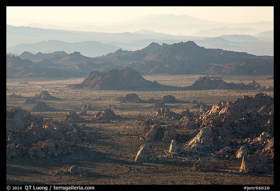 Wonderland of rocks from Ryan Mountain at sunset. Joshua Tree National Park (color)