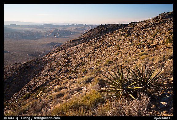 View towards Wonderland of rocks from Ryan Mountain. Joshua Tree National Park (color)