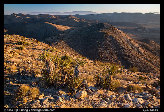 View towards San Bernardino Mountains from Ryan Mountain. Joshua Tree National Park (color)